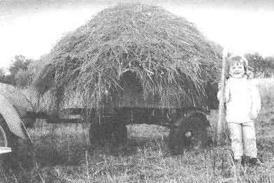 TRAILER MOTORCYCLE