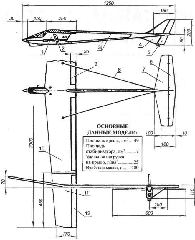 Aerobatic RC model glider
