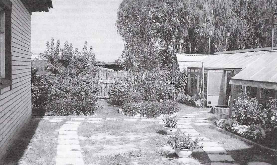 The garden path of square concrete slabs and concrete 