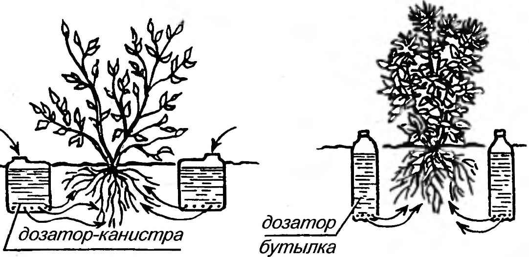 ПОЛИВАЕМ С УМОМ