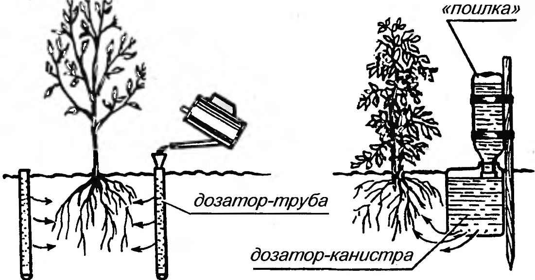 Device for underground metered watering of shrubs with dispensers made of plastic bottles