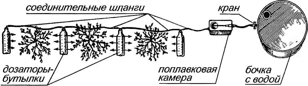 Device for underground metered watering of shrubs with dispensers made of plastic bottles