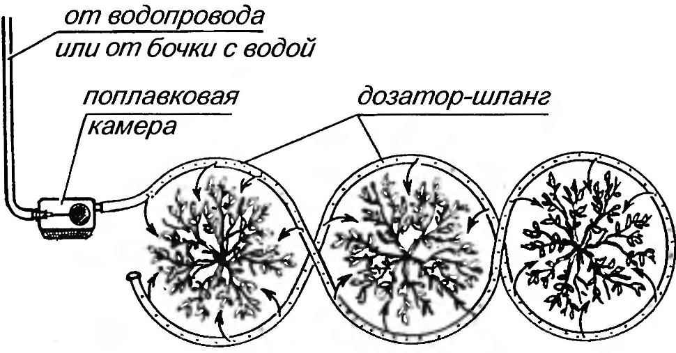 Устройство для автоматизированного дозированного внутрипочвенного полива кустарников и грядок с дозатором из пластикового гофрированного шланга