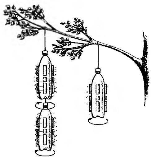 Подвеска ветрячков-роторов на ветках плодовых деревьев