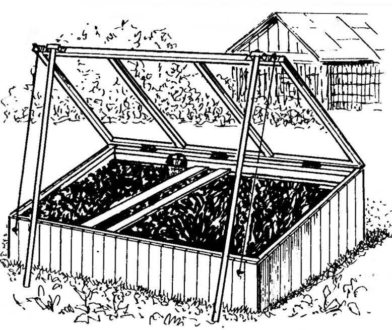 GREENHOUSES FROM SMALL TO LARGE