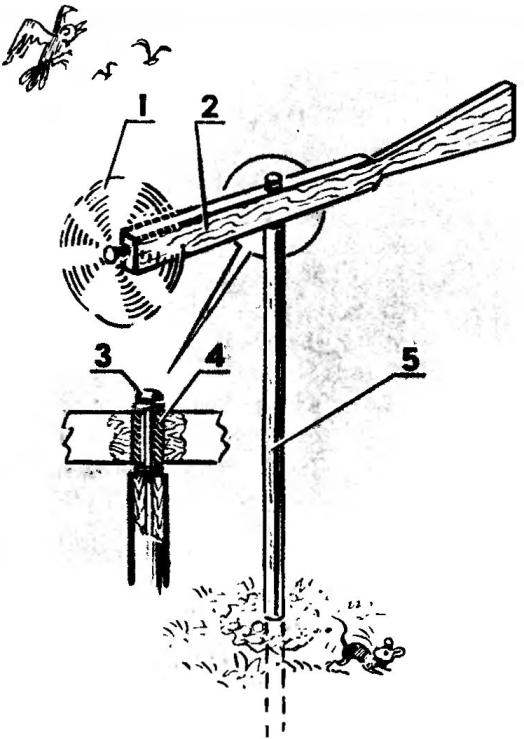 A weather vane in the role of watchman