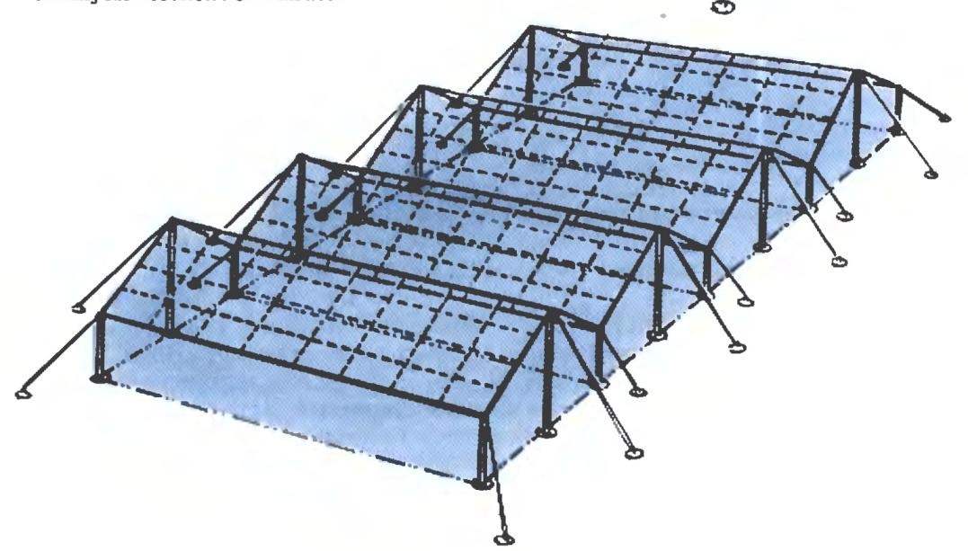 Тепличное поле, собранное из прямоугольных теплиц шатрового типа.