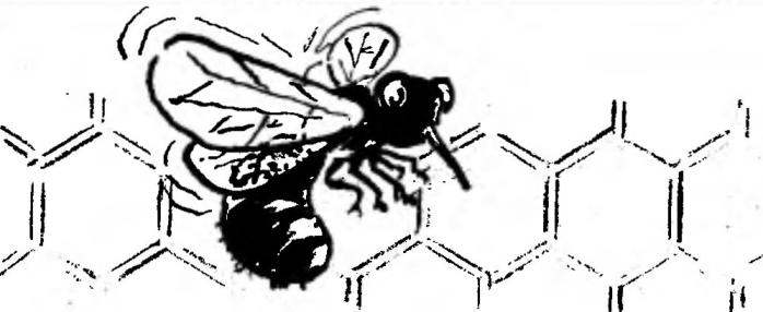 ПЧЕЛИНАЯ «КОММУНАЛКА»