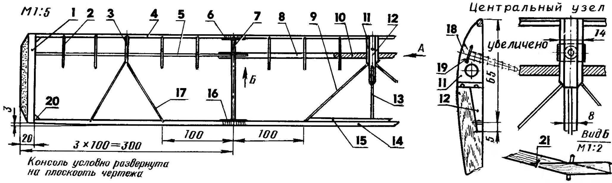 Fig. 3. Wing