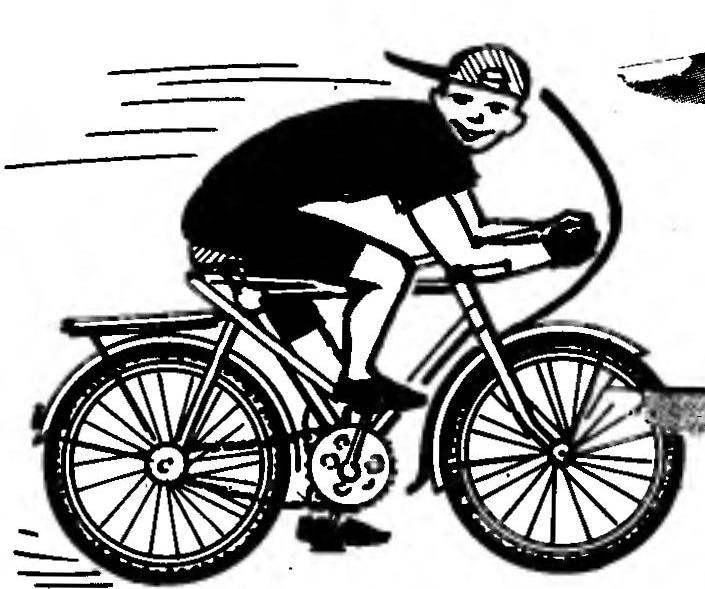 BICYCLE: THE FEET AND HAND