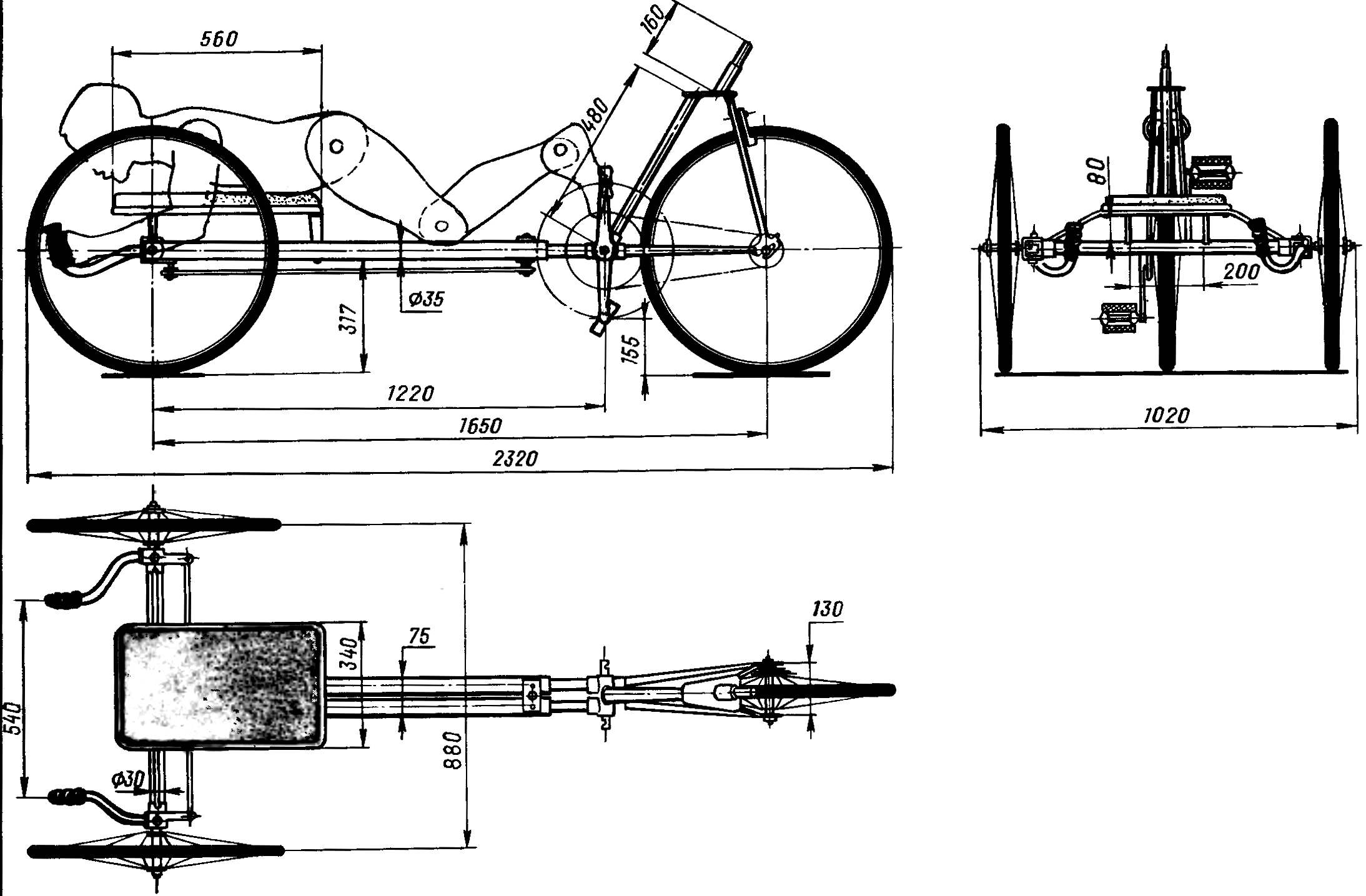 Fig. 1. Recumbent 