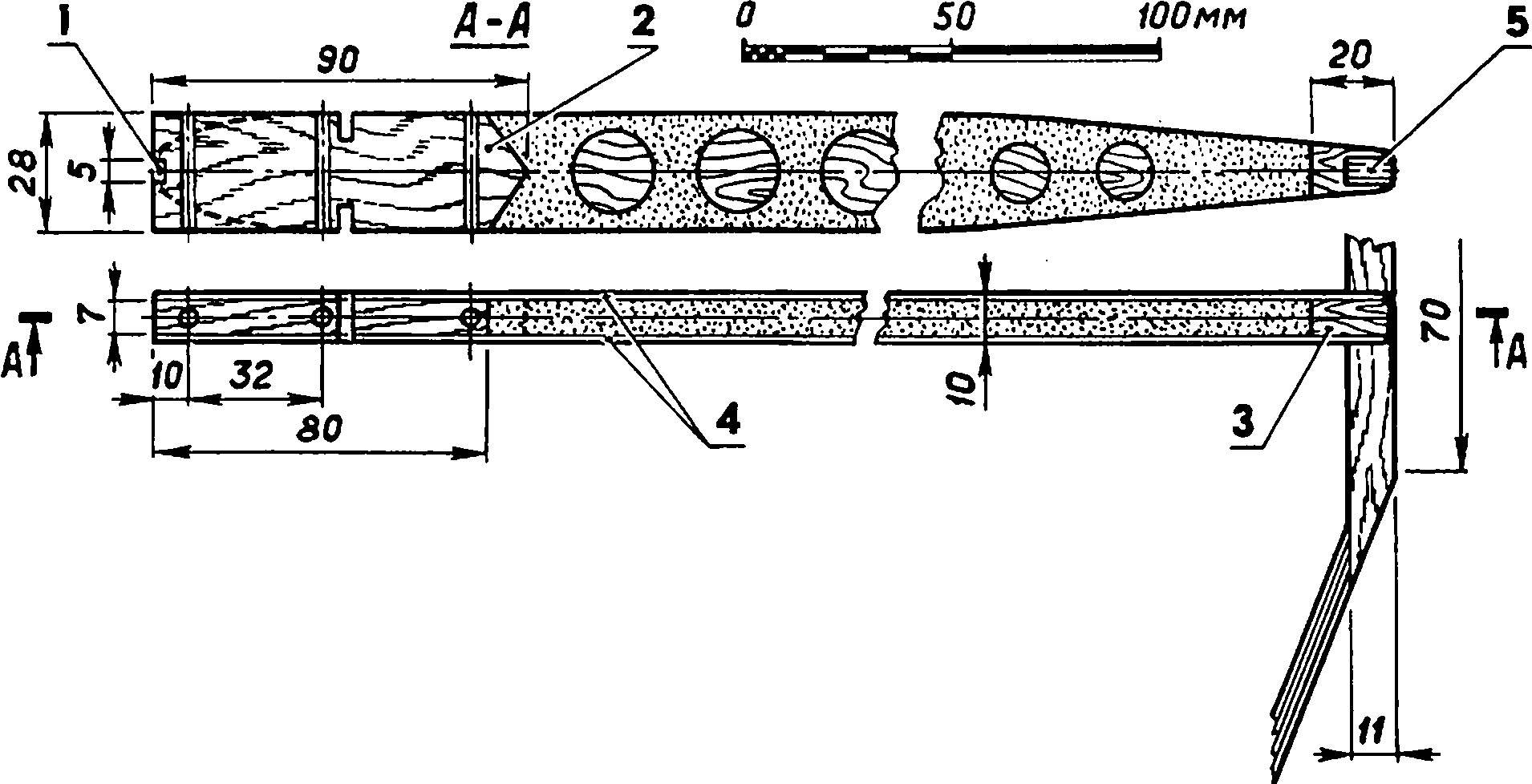 The Central rib/