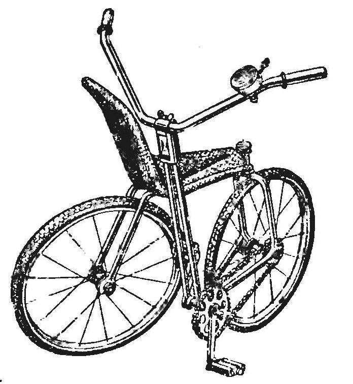 Fig. 3. Swivel folding bike
