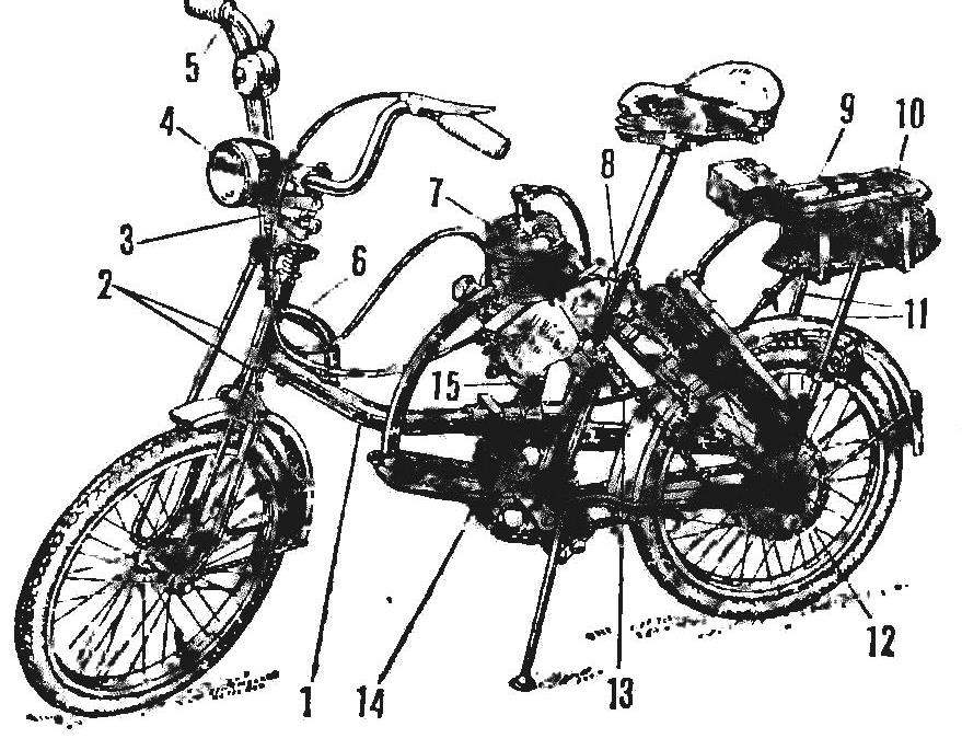 Fig. 1. Bicycle 