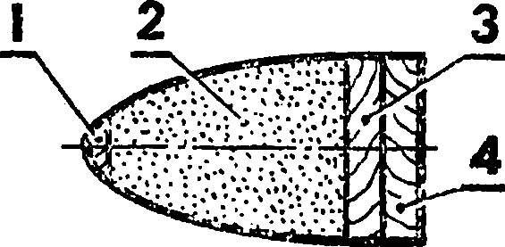 The forehead of the wing (variant).