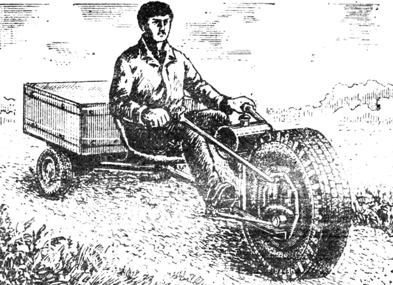 ONE-WHEEL TRUCK