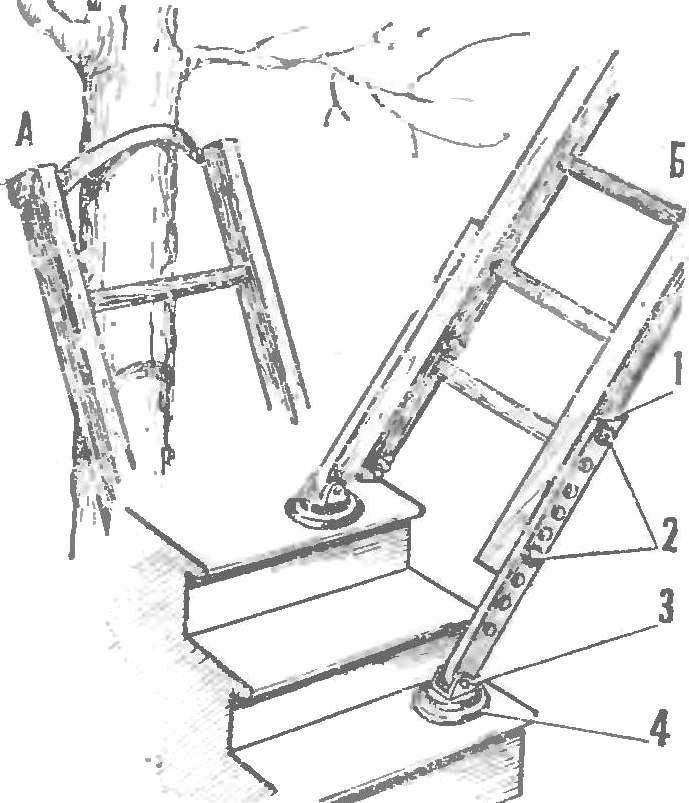 SAFE LADDER