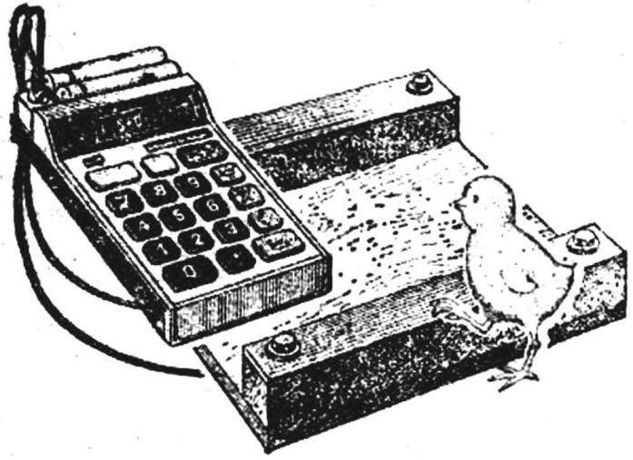 THE TIMEKEEPER FOR BROILERS