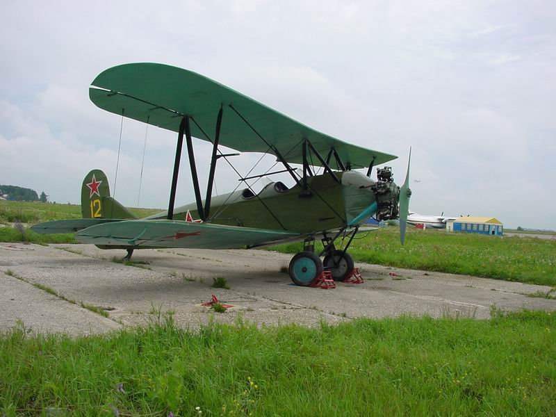 EARLY FIGHTERS D. P. GRIGOROVICH