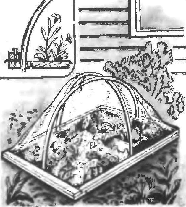 GREENHOUSE COVER