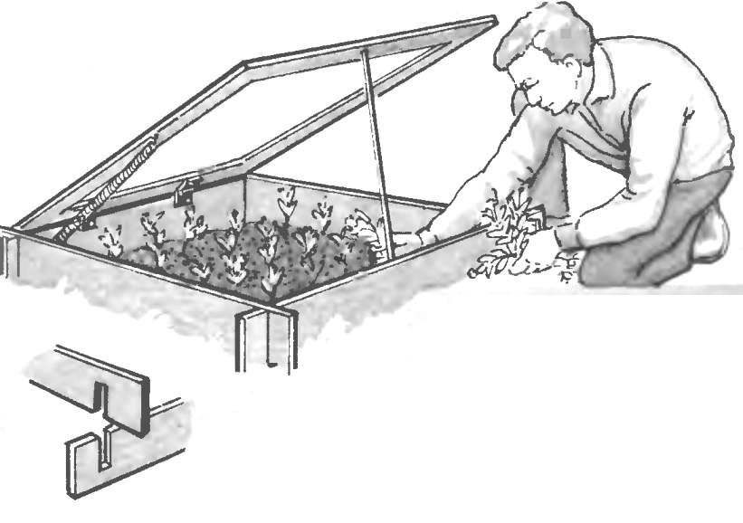 FLAT GREENHOUSE