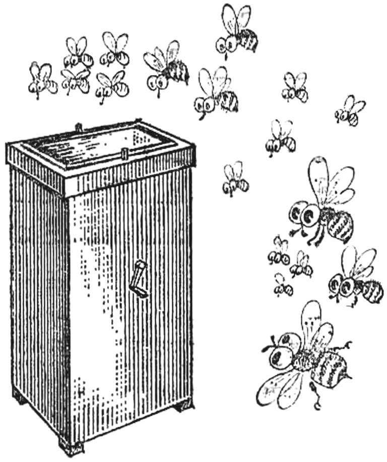 SAUNA FOR BEES