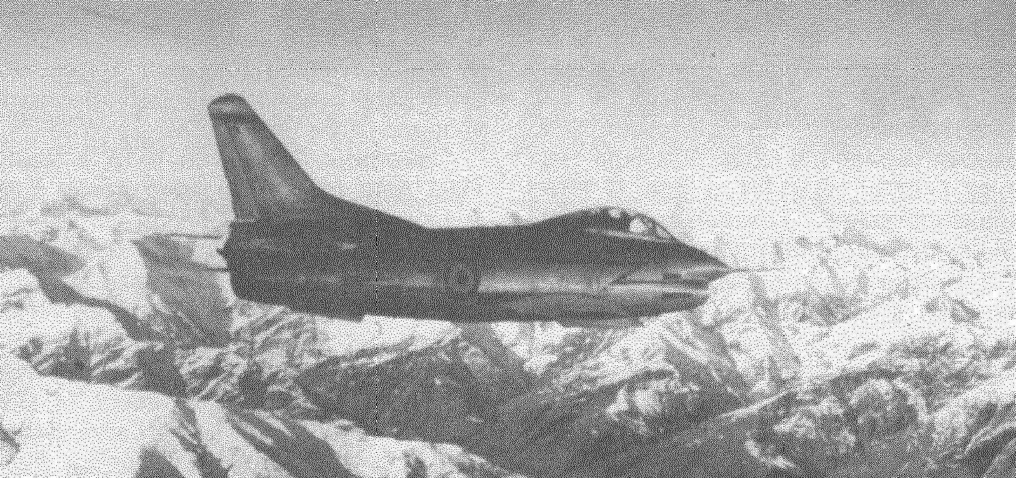 Предсерийный самолёт G.91 в полёте