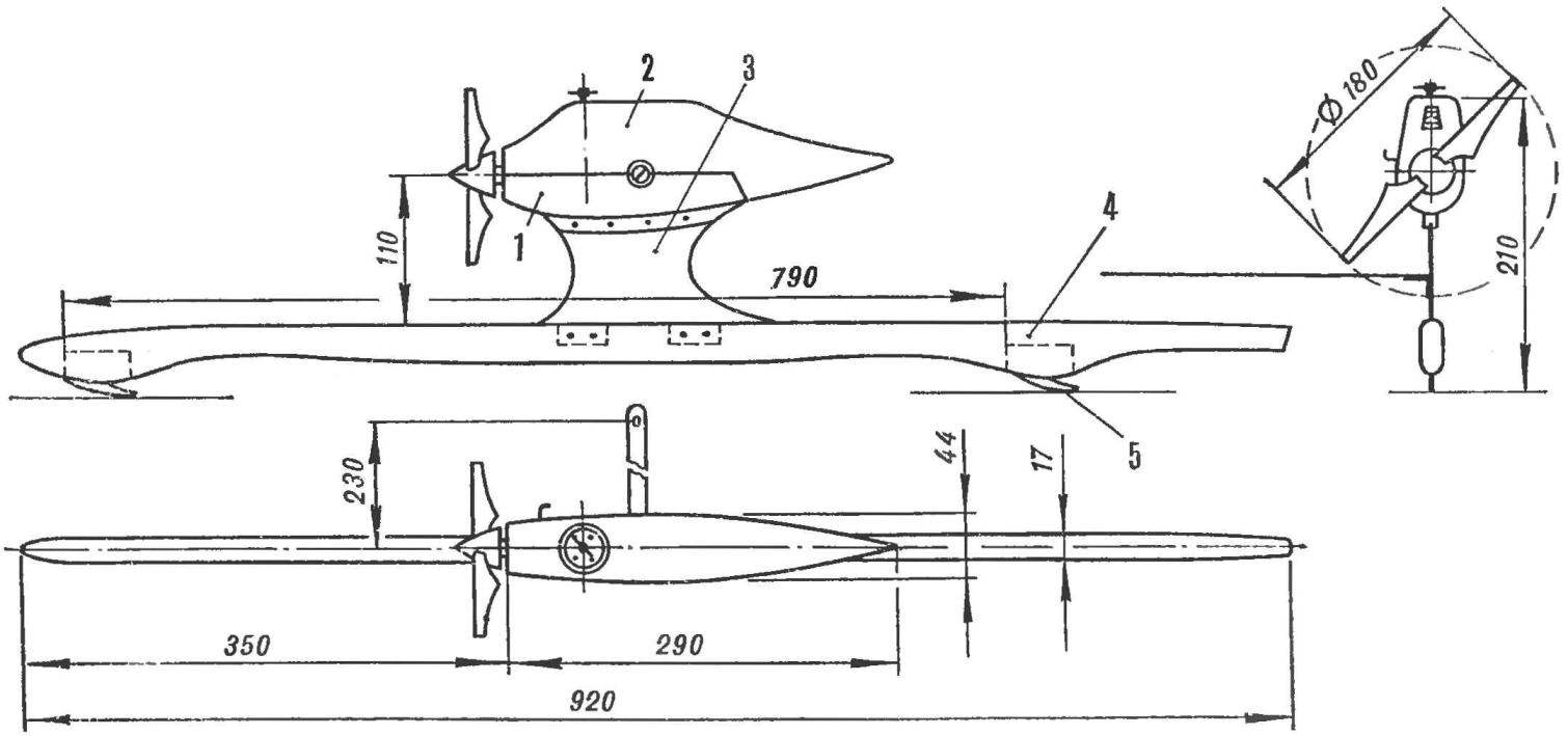 Fig. 1. The model diagram