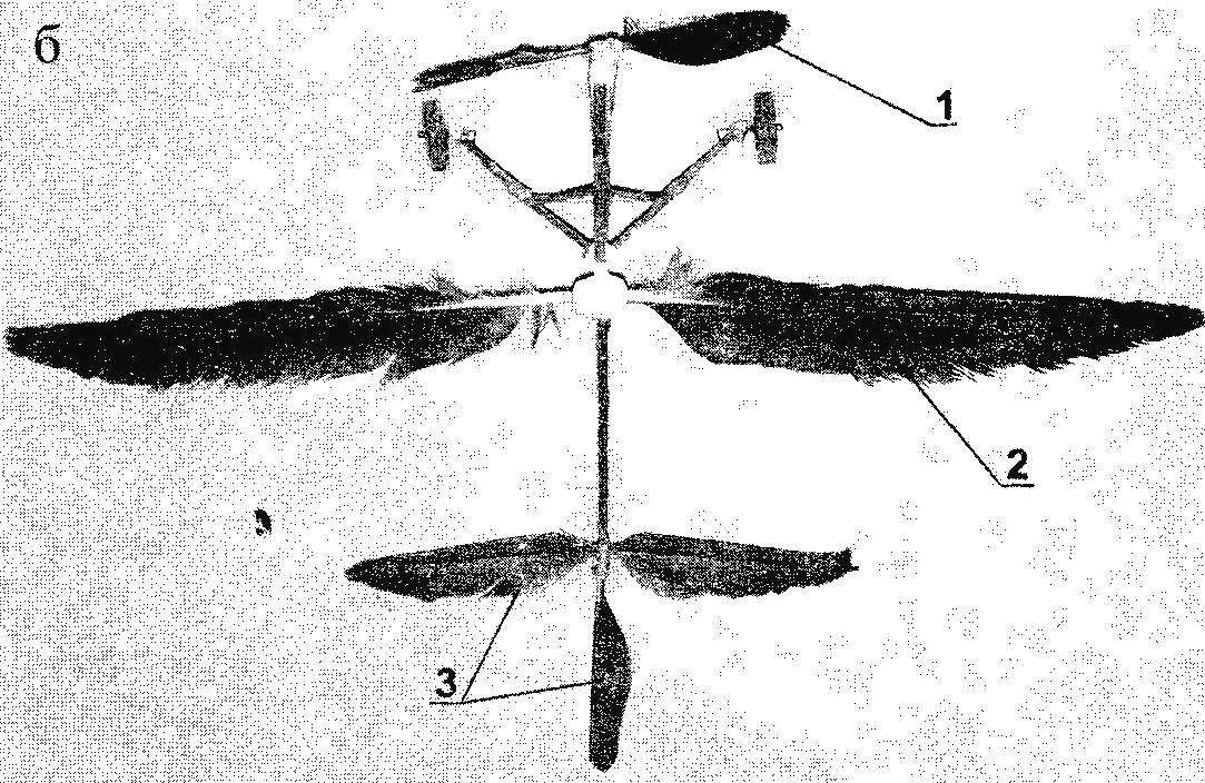 Летающая комнатная модель самолета из птичьих перьев (а, б)