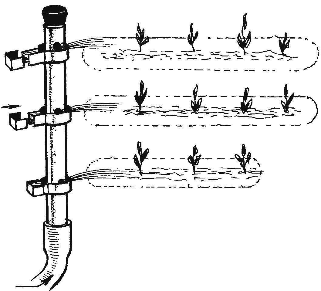 Fig. 1. The irrigation system via the irrigation ditches