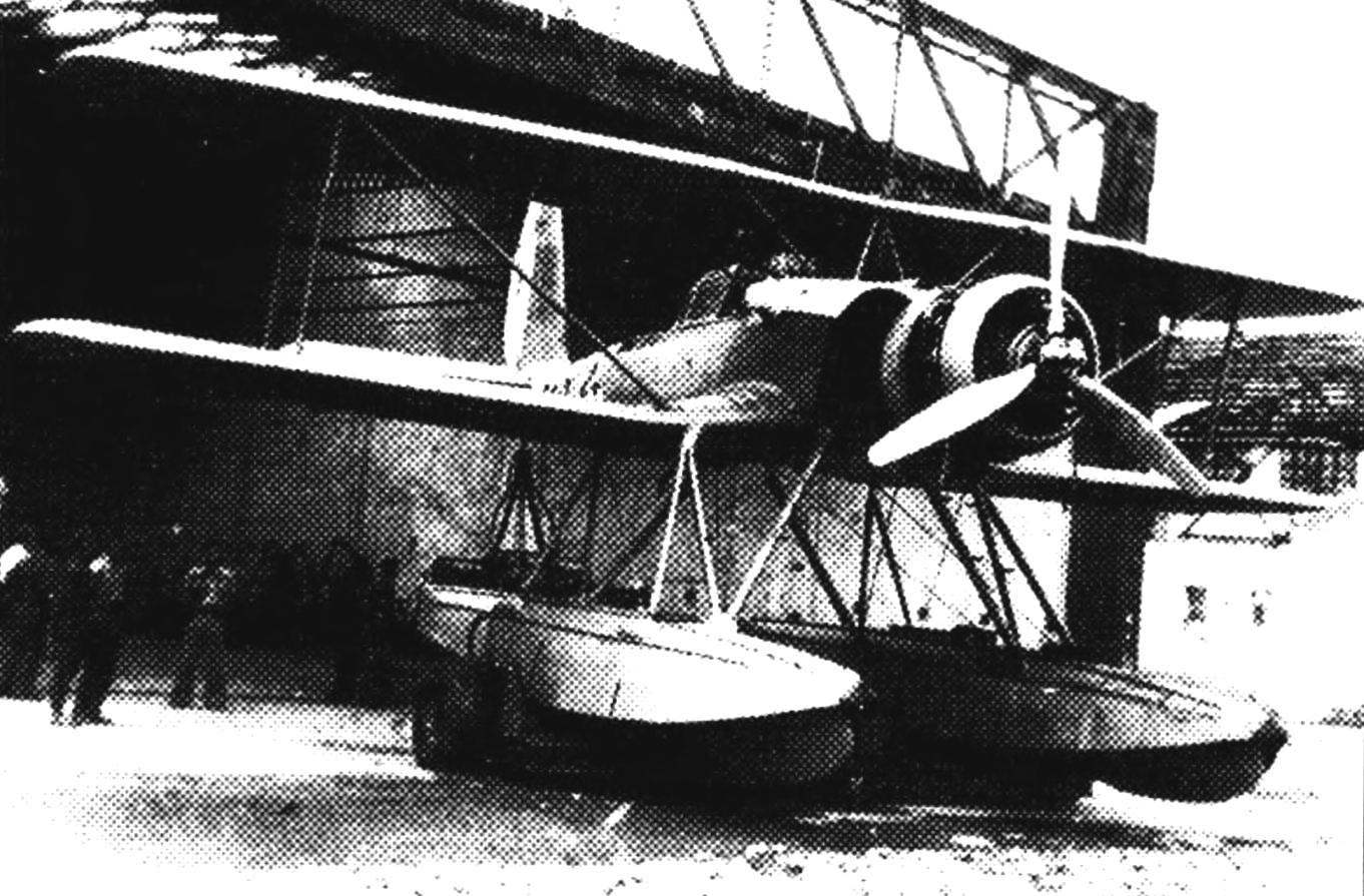 The Plane Ar.95 roll out of the hangar