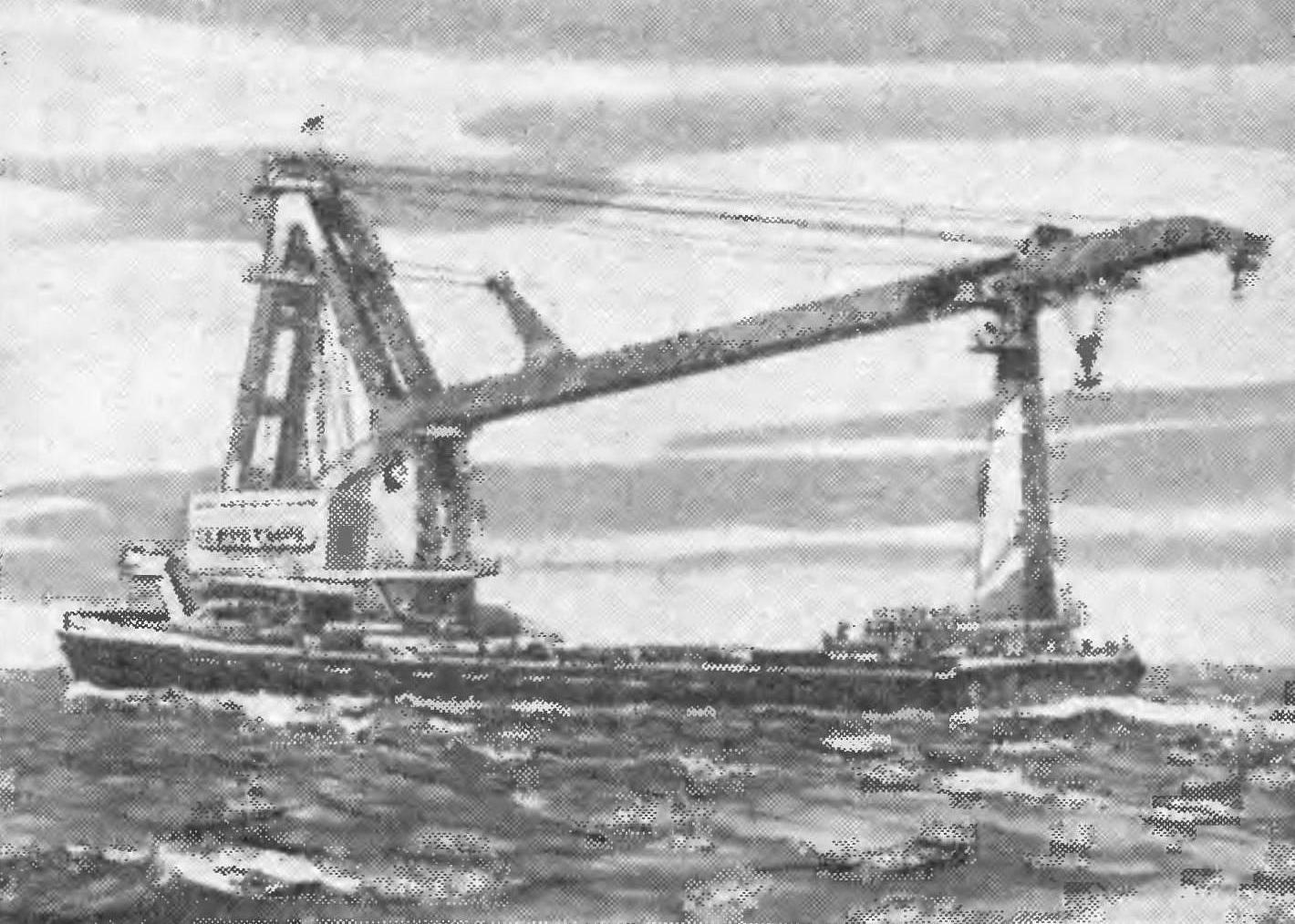 Fig. 1. Floating crane 