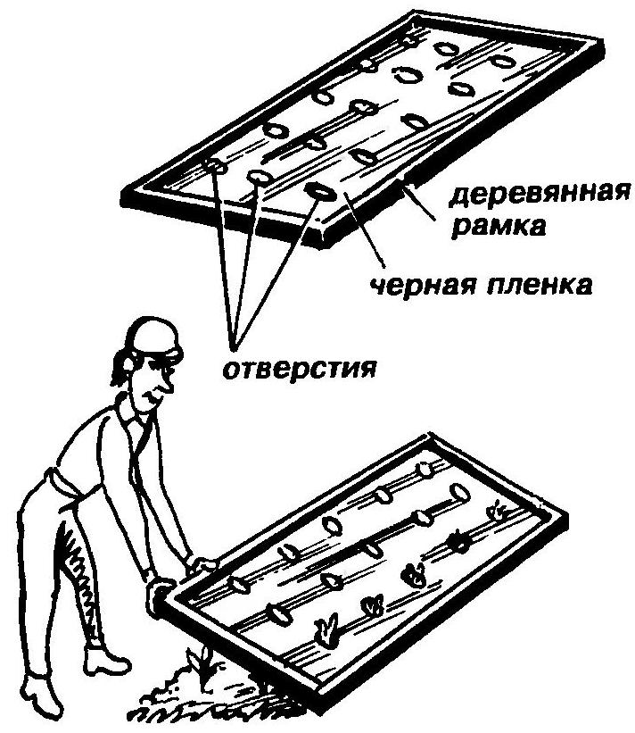 ЩИТОВАЯ «ПРОПОЛКА»