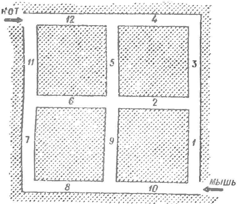 Fig. 1. The maze.