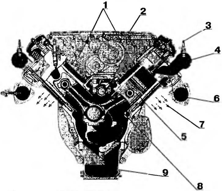 Двигатель BF 10L 413G (поперечный разрез)