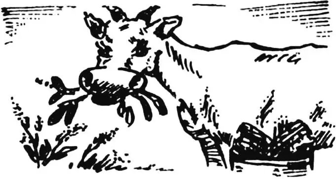 «РІЗАНКА» ЗА КІЛЬКА ХВИЛИН