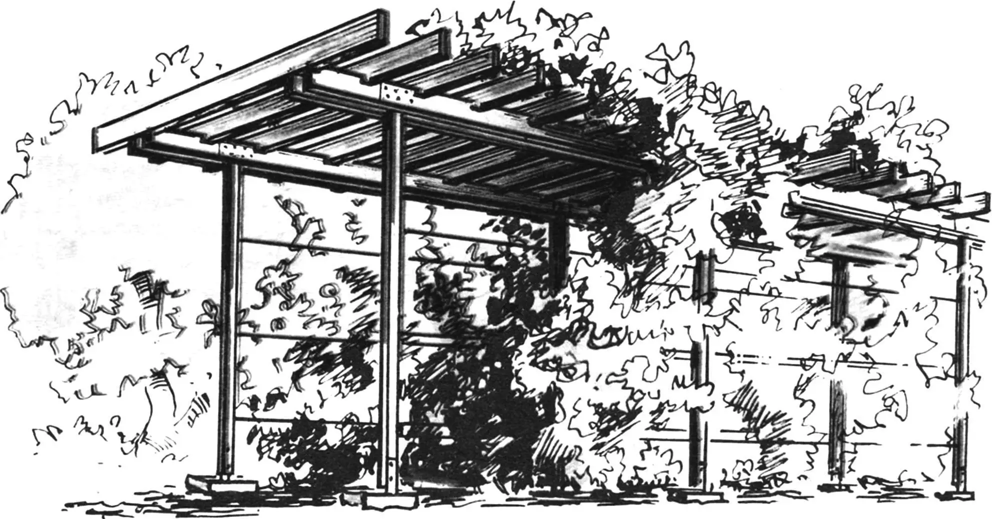 СІТКА… ВІД СОНЦЯ