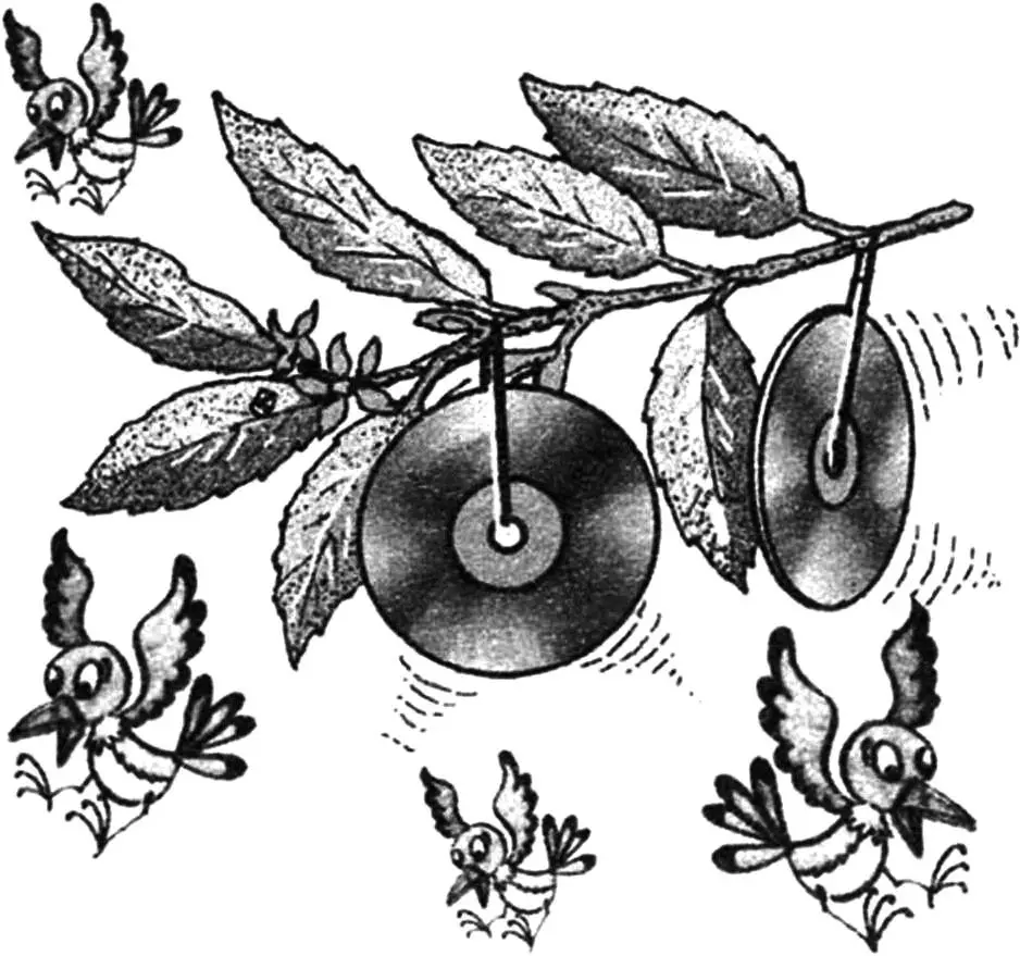 САДОВО-ГОРОДНІ «ДРІБНИЦІ»
