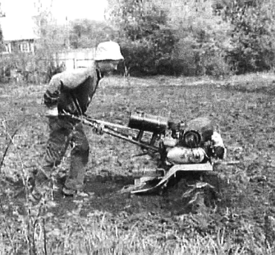 І ОРАЧ, І ВІЗНИК