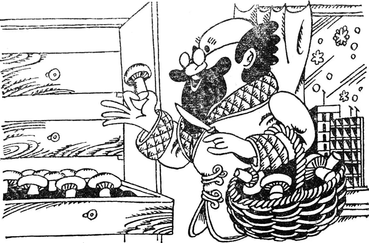 ПО ГРИБИ — В ПЕРЕДПОКІЙ