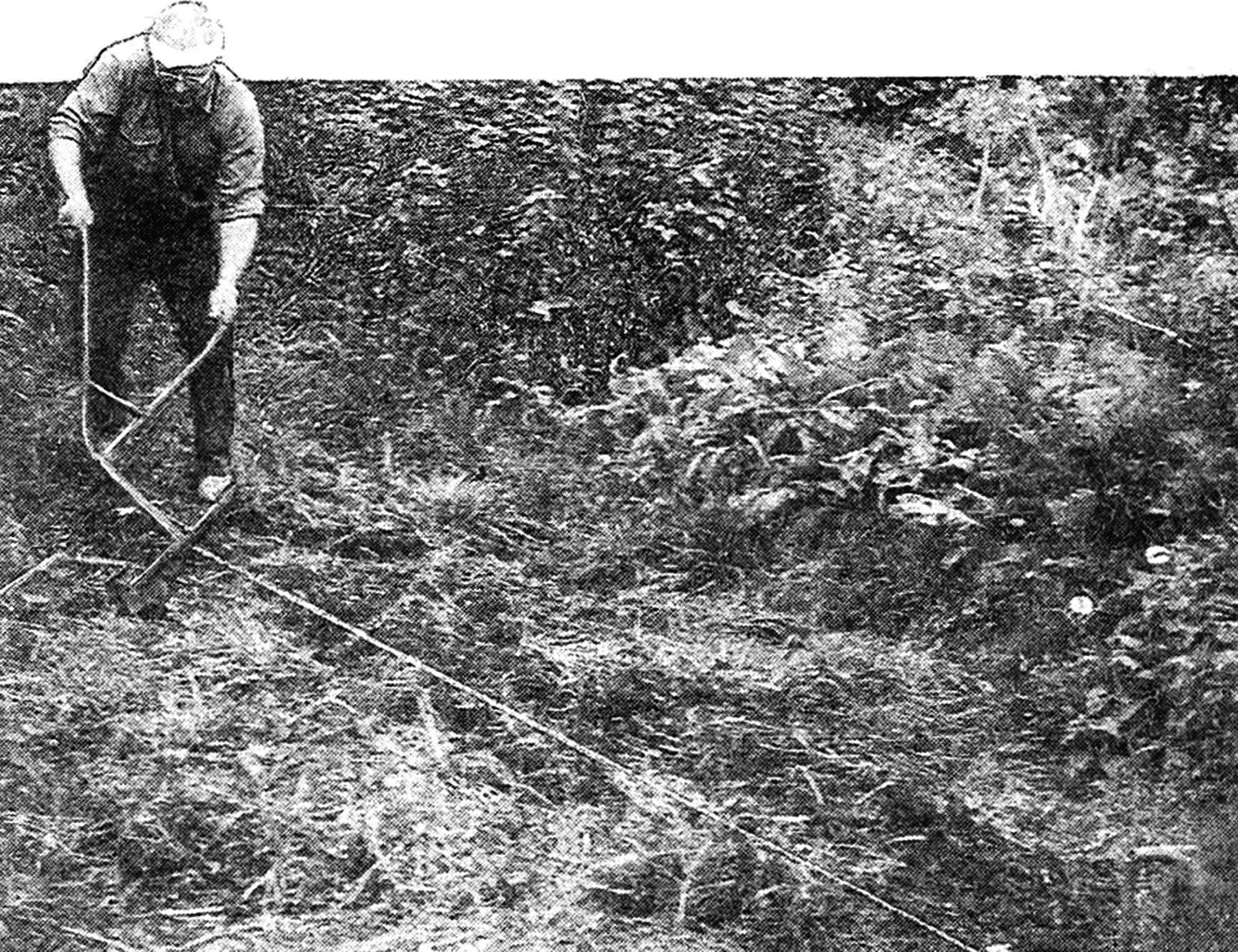 ЛЕБІДКА: ОРАЧ, КОРЧУВАЛЬНИК І… САПЕР