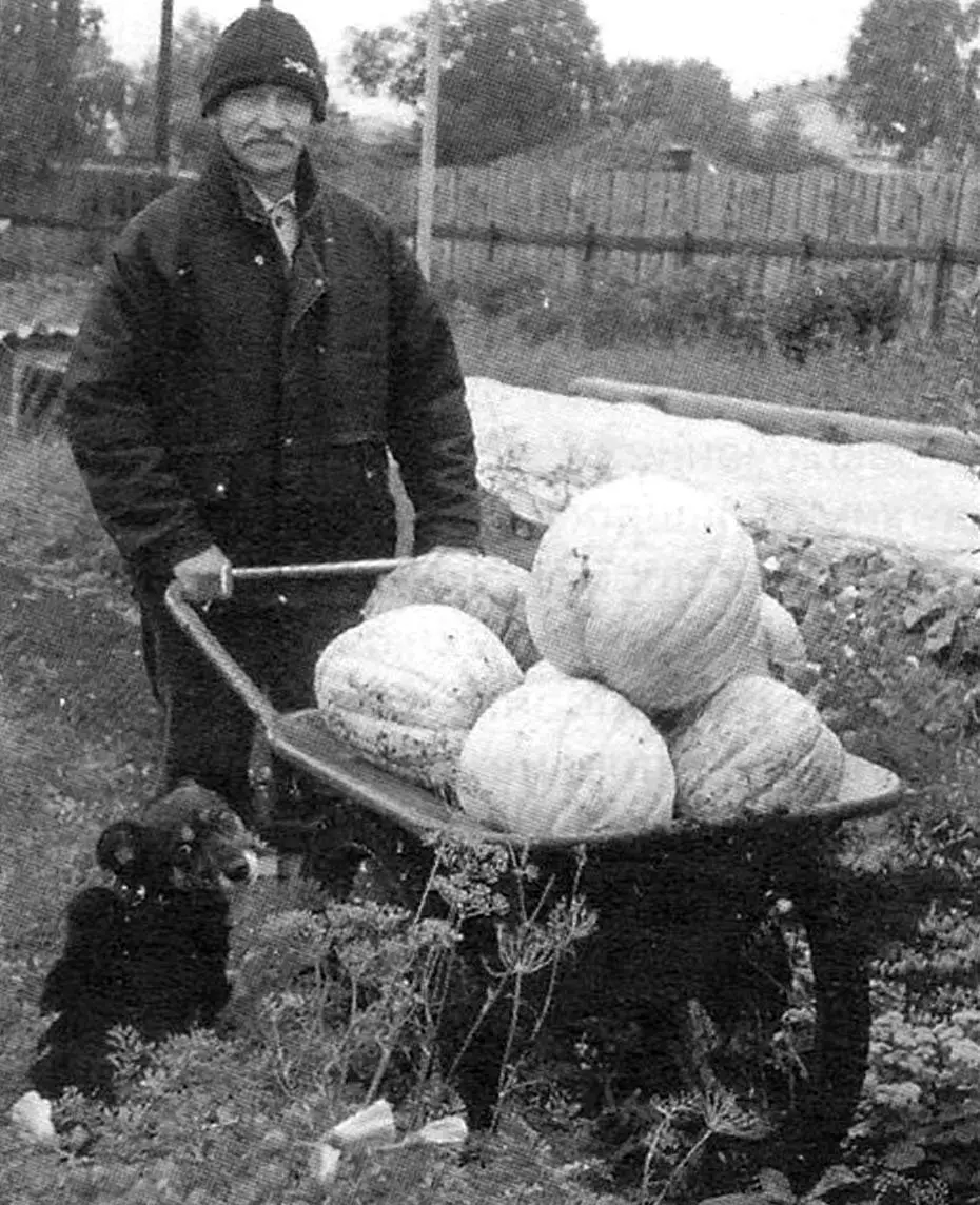 Важковантажна тачка з металолому: майстер-клас