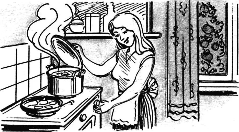 Біогазова установка для виробництва метану з гною