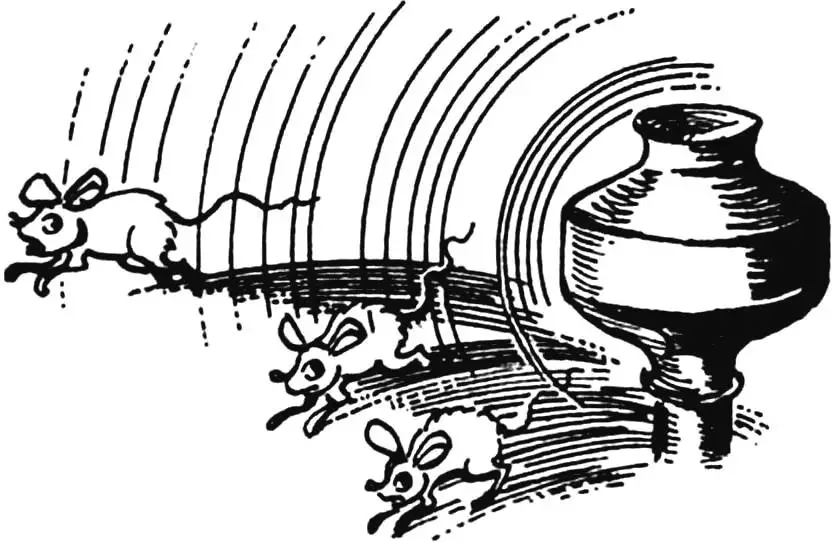 Ультразвук: природа, техніка та «Антигризун» своїми руками