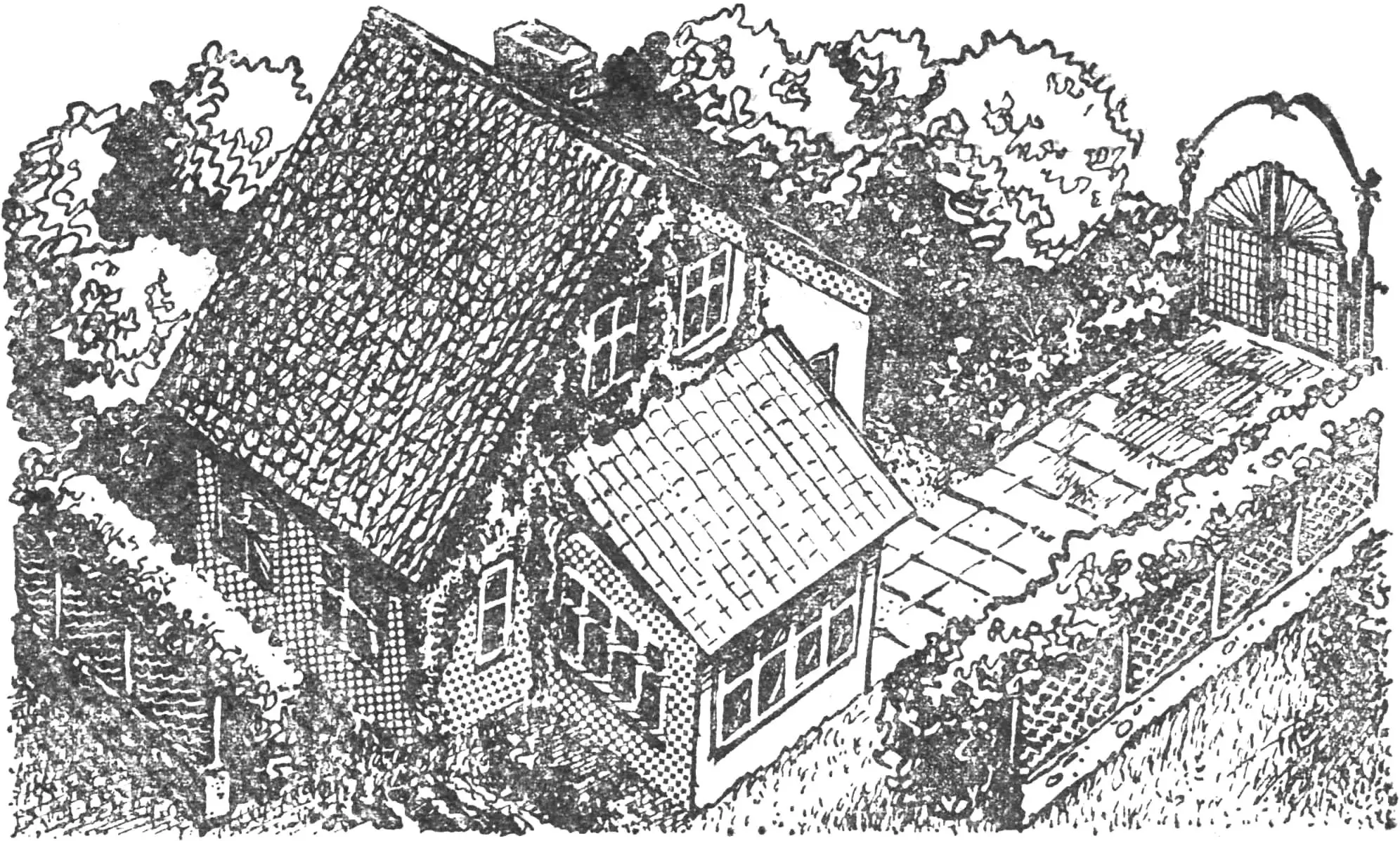 Паркан, ворота, доріжки: практичні поради для саду