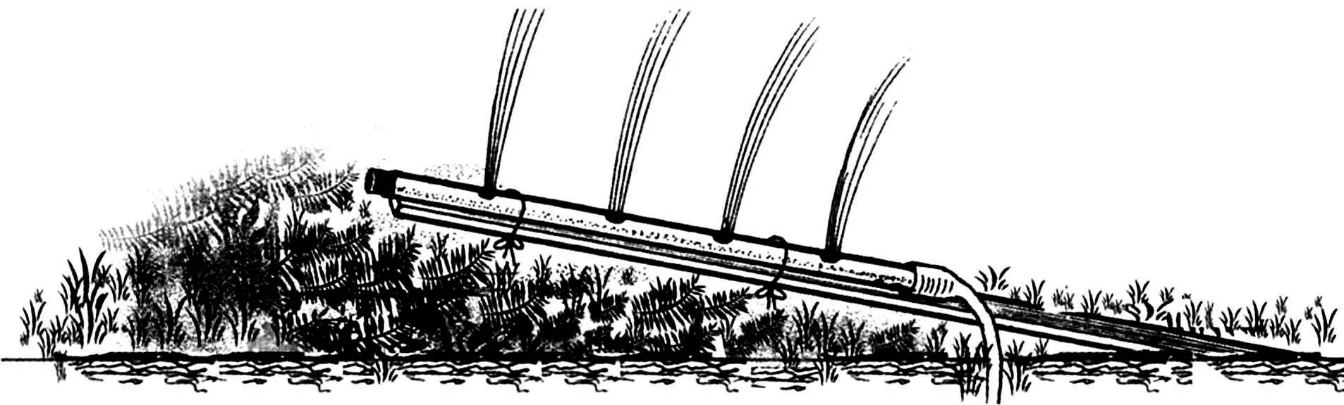 Полив городу своїми руками: міні-зрошувальна система для дачі