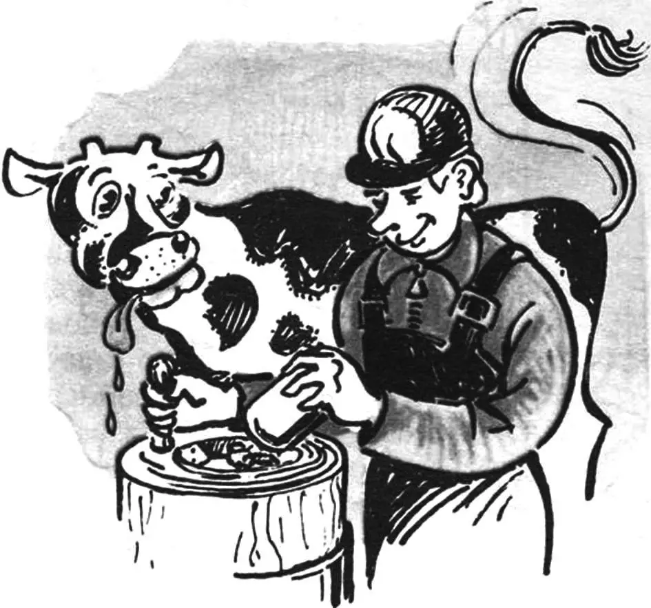 Саморобні пристрої для подвір’я, птиці та пасіки