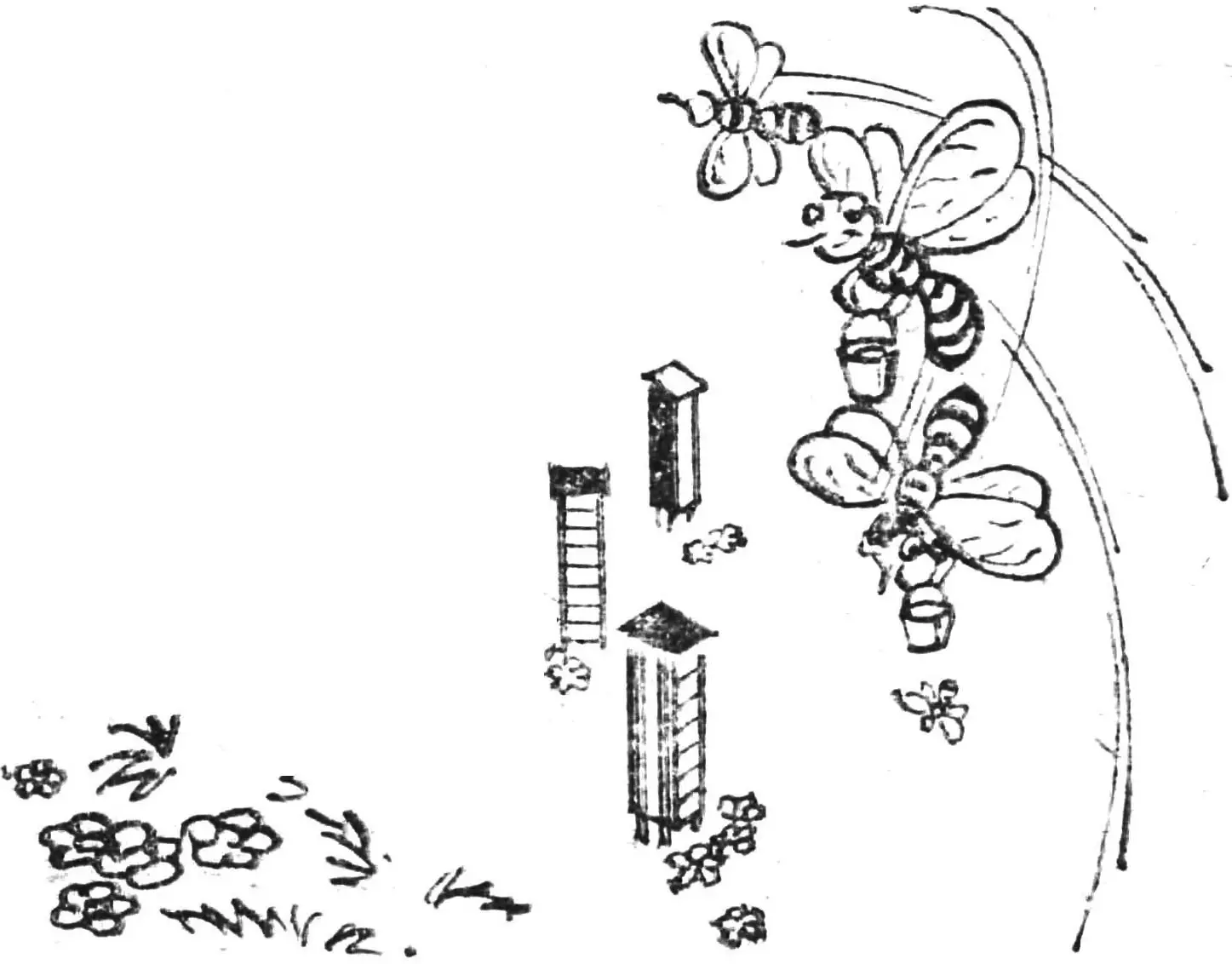 Касетний вулик: конструкція, збірка та обслуговування