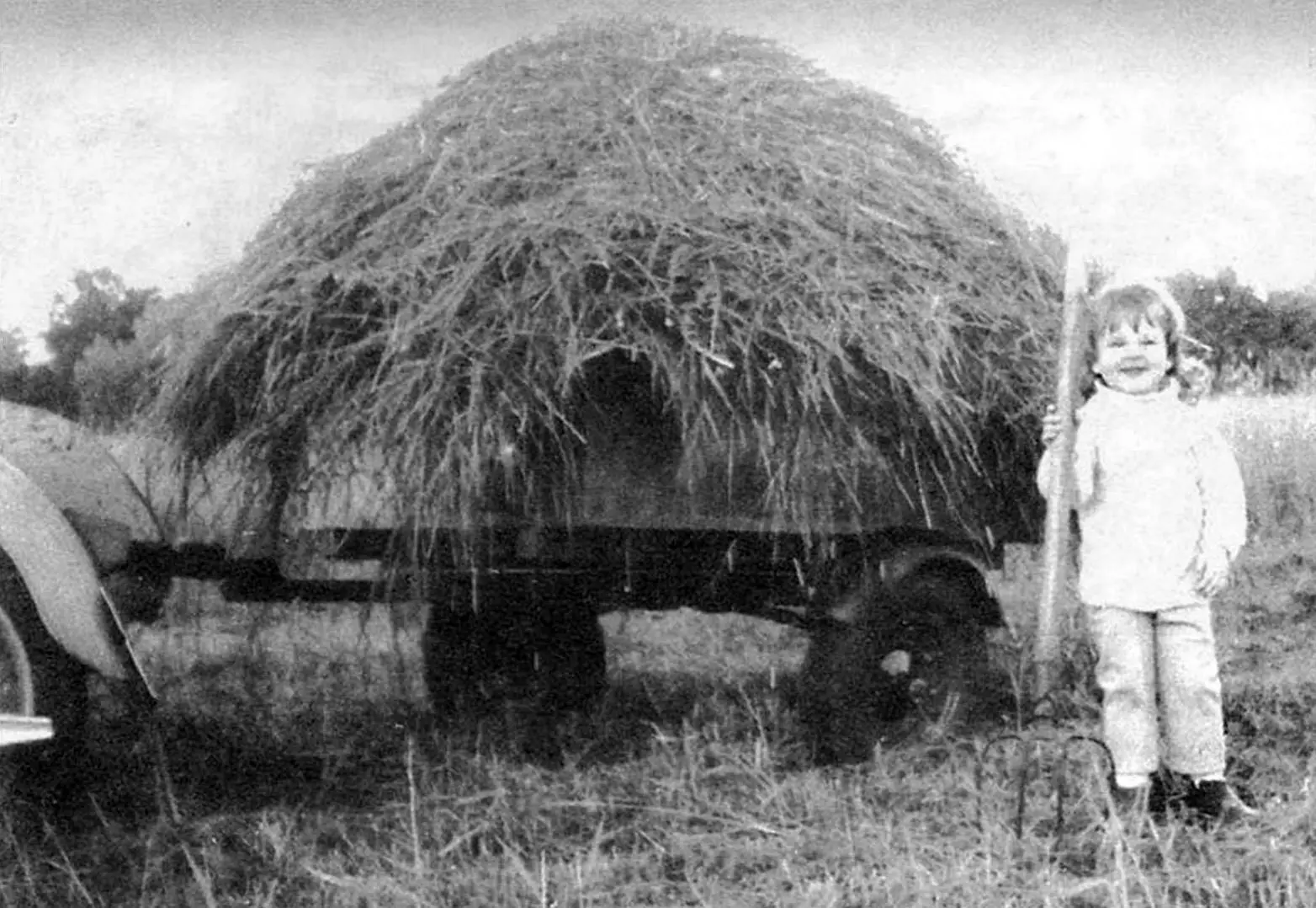 Боковий причіп до мотоцикла: ресора без амортизаторів