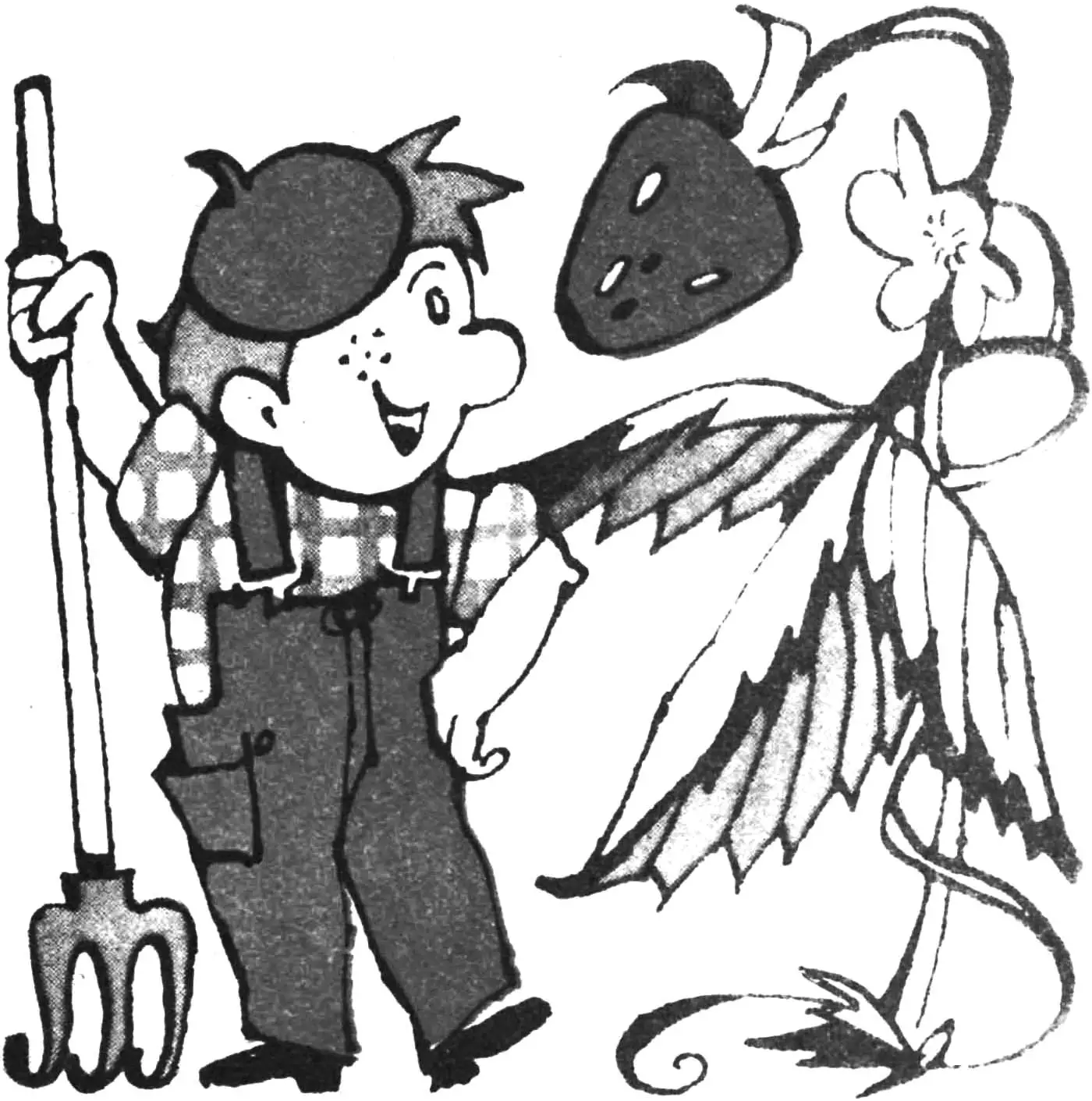 Ніж для суниці та культиватор: DIY-ідеї